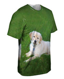 Golden Lab Lays About