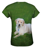 Golden Lab Lays About