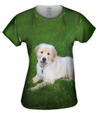 Golden Lab Lays About