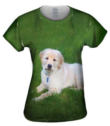 Golden Lab Lays About