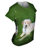 Golden Lab Lays About