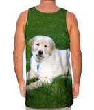 Golden Lab Lays About