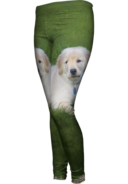 Golden Lab Lays About Womens Leggings