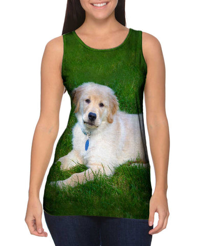 Golden Lab Lays About