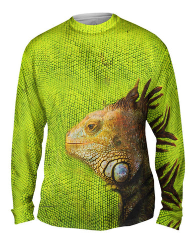 Rad Iguana