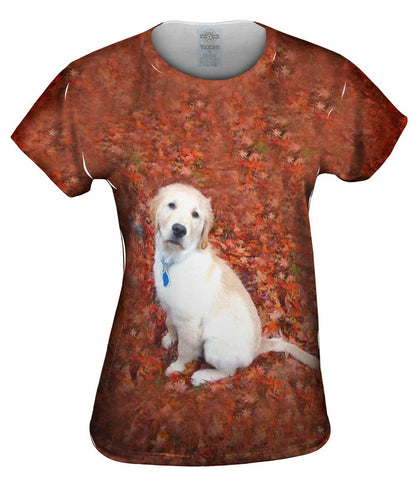 Golden Lab Enjoys Fall