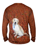 Golden Lab Enjoys Fall