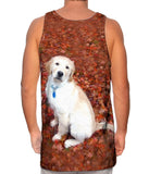 Golden Lab Enjoys Fall