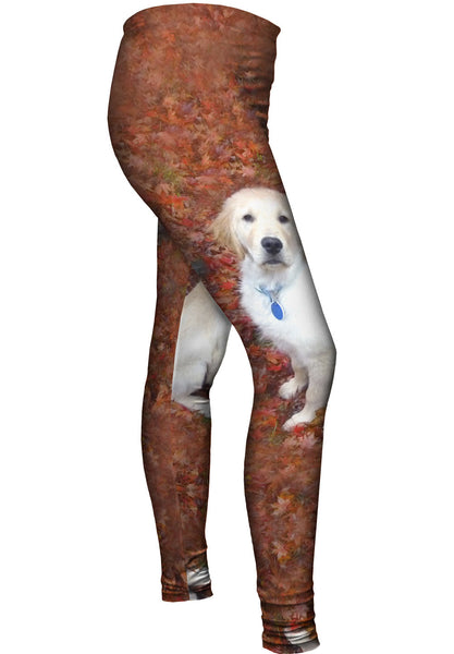 Golden Lab Enjoys Fall Womens Leggings