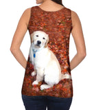 Golden Lab Enjoys Fall