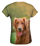 Shaggy Eared Golden Lab