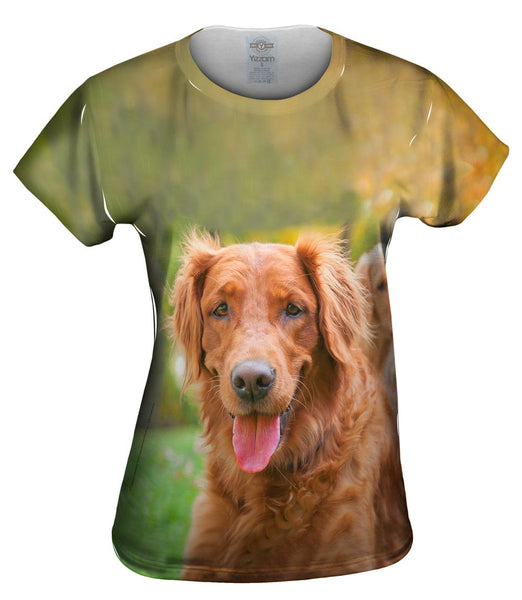 Shaggy Eared Golden Lab Womens Top