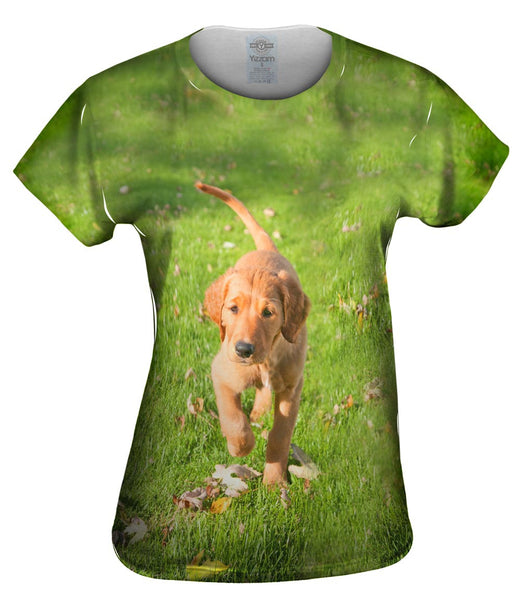 Golden Lab Kicking Leaves Womens Top