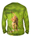 Golden Lab Kicking Leaves