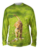 Golden Lab Kicking Leaves