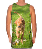 Golden Lab Kicking Leaves