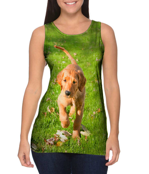 Golden Lab Kicking Leaves Womens Tank Top