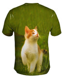 Proud Kitty Cat March