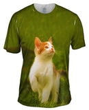 Proud Kitty Cat March