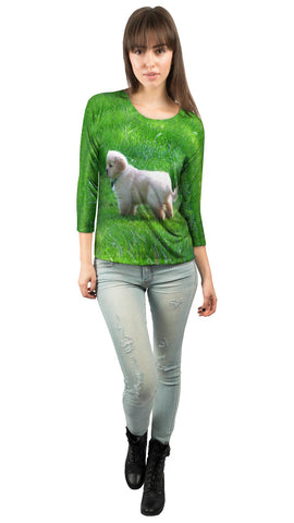 Furry Ball Golden Lab