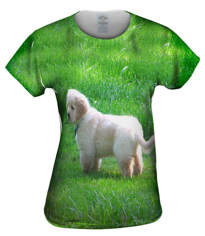 Furry Ball Golden Lab