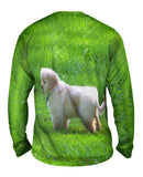 Furry Ball Golden Lab