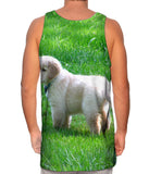 Furry Ball Golden Lab