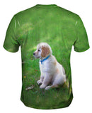 Golden Lab Puppy In Thought