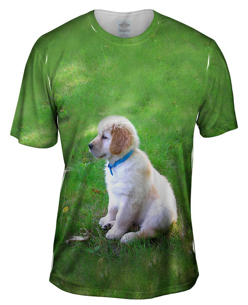 Golden Lab Puppy In Thought Mens T-Shirt