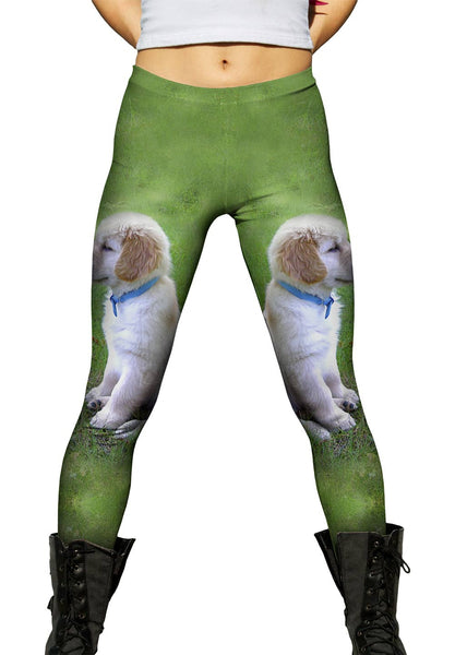 Golden Lab Puppy In Thought Womens Leggings