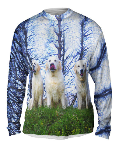 Three White Labs
