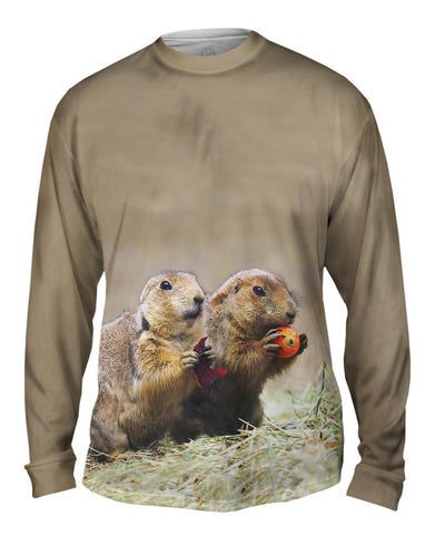 Fall Praire Dogs
