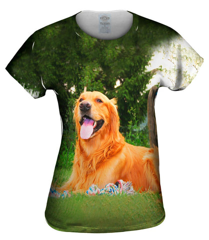 Golden Lab With Rope Toy