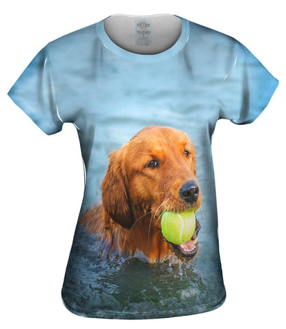 Golden Lab Waterplay
