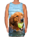 Golden Lab Waterplay