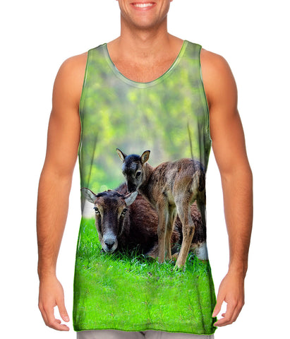 Happy Goat Family