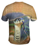Evil Snake Stare