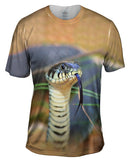 Evil Snake Stare