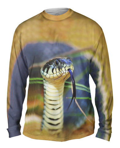 Evil Snake Stare