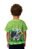 Kids Curly Haired Yorkie Running