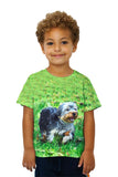 Kids Curly Haired Yorkie Running