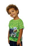 Kids Curly Haired Yorkie Running