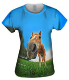 Funny Horse Snout