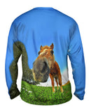 Funny Horse Snout