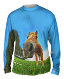 Funny Horse Snout