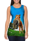Funny Horse Snout