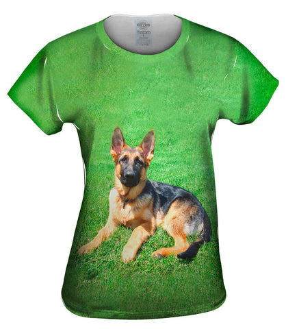 German Shepherd On Grass