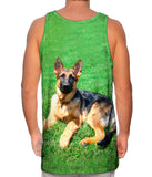 German Shepherd On Grass