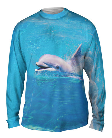 Happy Dolphin