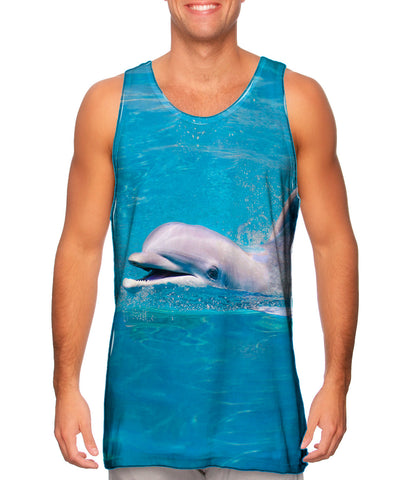 Happy Dolphin